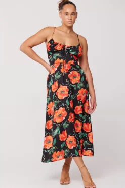 Best Kaitlyn Midi In Poppy Women Dresses